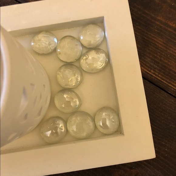 White Violets with tray - Picture 4 of 5